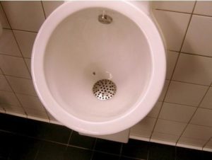 recenti_studi_mosca_water