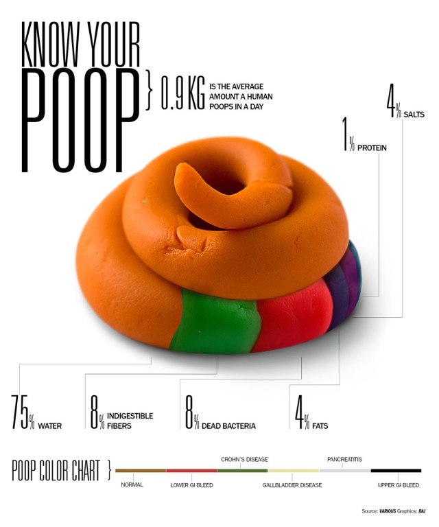 recenti_studi_infografica_cacca